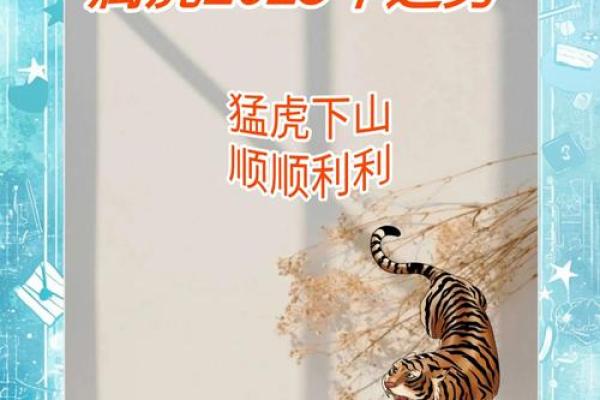 属虎人2022年全年运势 属虎人2022年全年运势