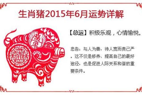 2025年属猪全年运势详解财运事业感情全面解析