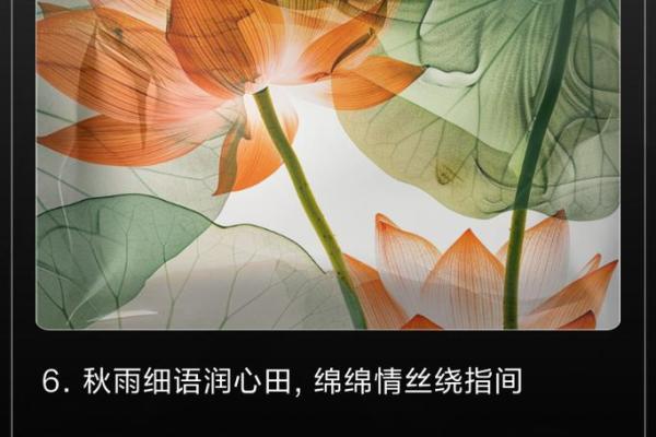 秋雨绵绵是什么生肖 秋雨绵绵是什么生肖