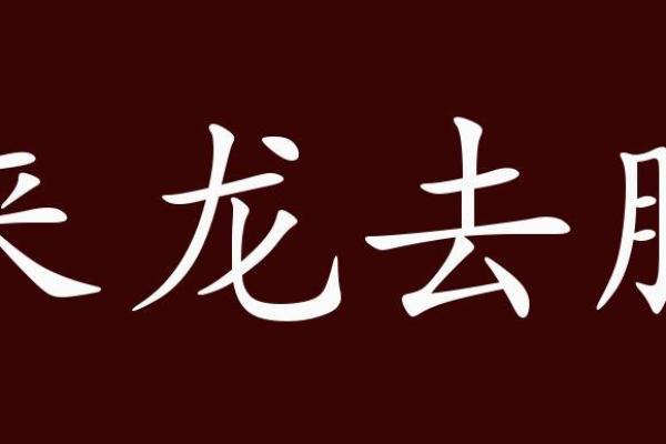 来龙去脉是什么生肖 来龙去脉是什么生肖