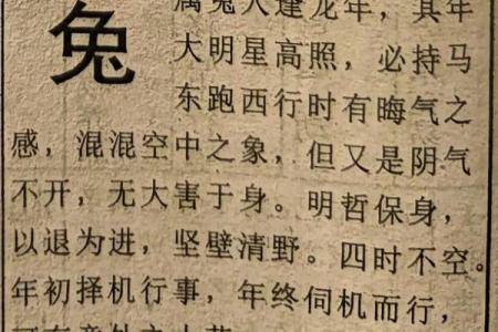 兔人2025年全年的运程和运势_属兔的运势2025年运程