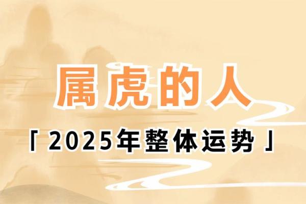 2025年属兔的人运势_属兔人2025年虎年全年运势