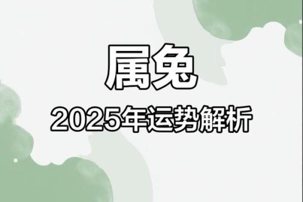 2025年属兔1963人的全年运势_属兔人2025年运势及财运