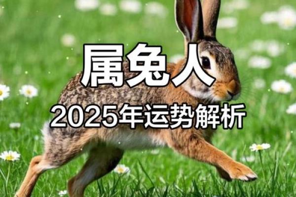 1975年属兔女2025年运势详解全年运程大揭秘