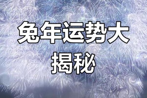 属兔在2025年的运势怎么样 全年 2025年属兔全年运势详解财运事业感情全面解析