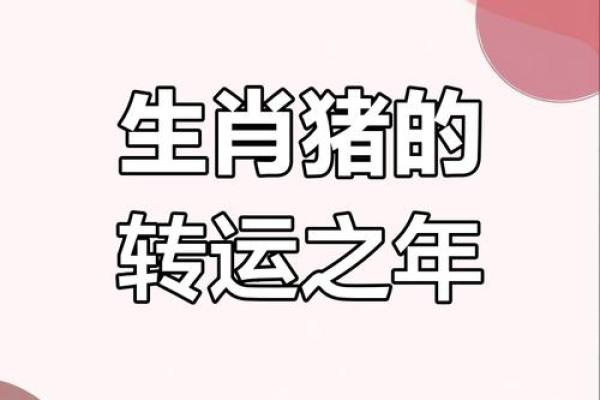 猪在2025年的运势如何_2025年猪年运势解析财运事业爱情全预测