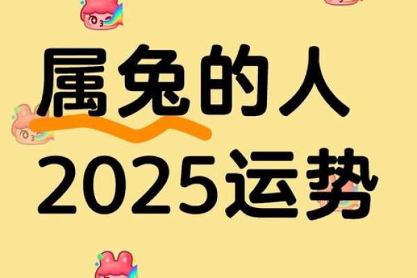 1975年属兔2025年财运解析机遇与挑战并存 1975年属兔2025年财运解析机遇与挑战并存