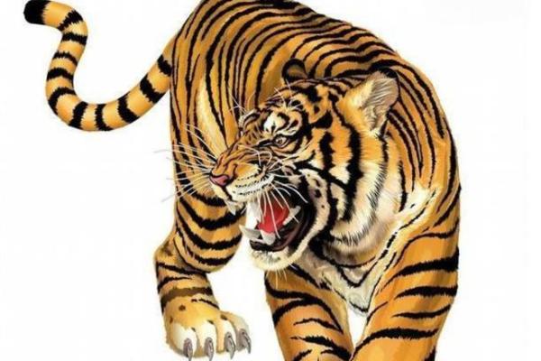 属虎2015年运势 属虎2015年运势