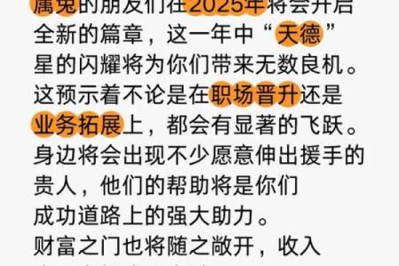 属兔2025的特大贵人_2025年属兔人的三大贵人运势飙升的关键助力