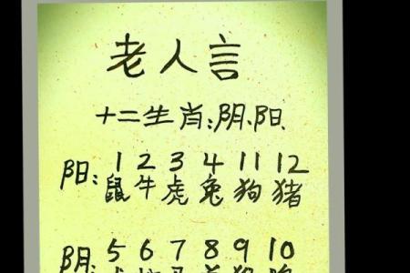 属羊与属龙的婚配怎么样_属羊与属龙婚配好不好