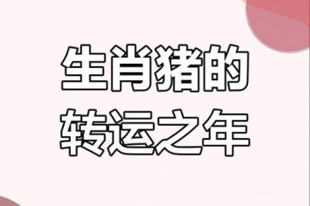 猪在2025年的运势如何_2025年猪年运势解析财运事业爱情全预测
