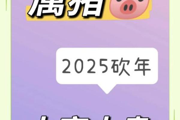 属猪2025年最旺的颜色_属牛今年什么颜色最旺 属猪2025年最旺的颜色_属牛今年什么颜色最旺