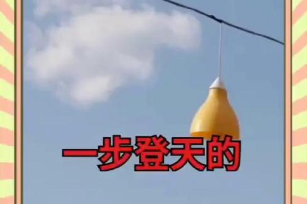 一飞冲天的生肖正确答案 一飞冲天的生肖正确答案