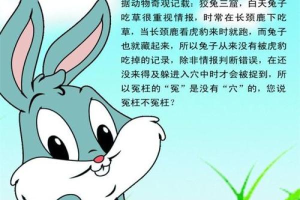 87年属兔25年运势解析未来25年运势走向与机遇 87年属兔25年运势解析未来25年运势走向与机遇