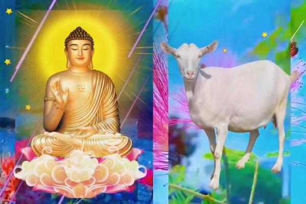 79年属羊人2025年运势运程_属羊人2025年全年运势 1979年羊年每月牌运 79年属羊人2025年运势运程_属羊人2025年全年运势 1979年羊年每月牌运