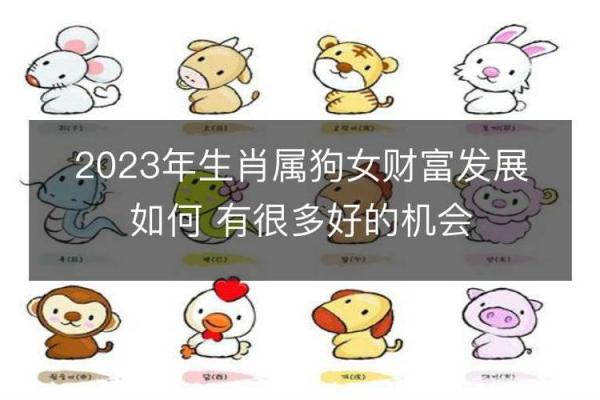 属狗人今天的运气和财运_属狗人今日运势解析财运亨通还是需谨慎