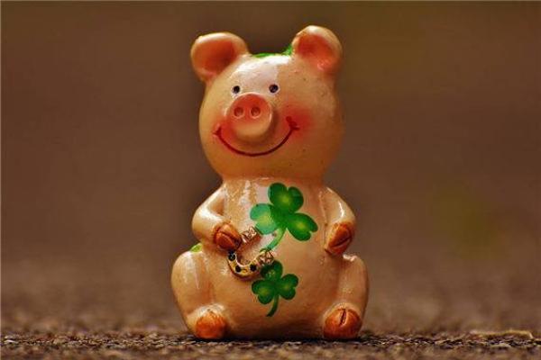 属猪2025年桃花劫遇真爱 2025属猪的烂桃花是谁 属猪2025年桃花劫遇真爱 2025属猪的烂桃花是谁