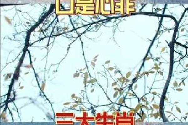 冰雪聪明是什么生肖