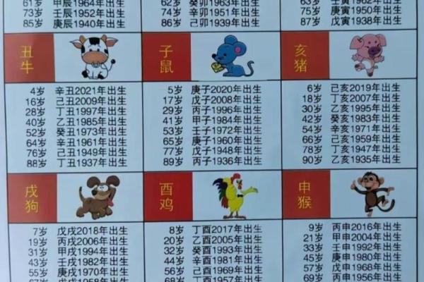 属猪多大2025年虚岁了_属猪2022年多少岁 属猪多大2025年虚岁了_属猪2022年多少岁