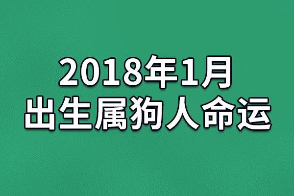 1958年属狗命运解析运势性格与未来展望