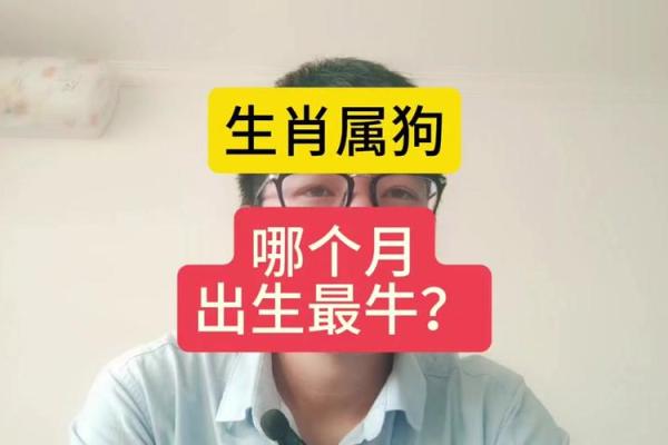 2025年82年属狗女运势解析财运事业感情全揭秘 2025年82年属狗女运势解析财运事业感情全揭秘