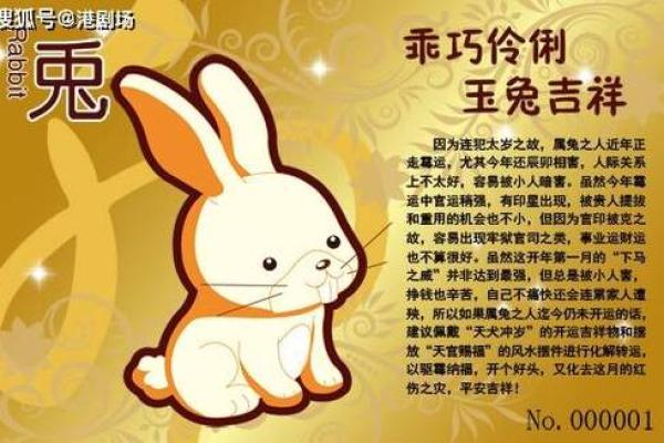 2025年属兔运程_2025年属兔运程详解运势大揭秘与全年运势预测