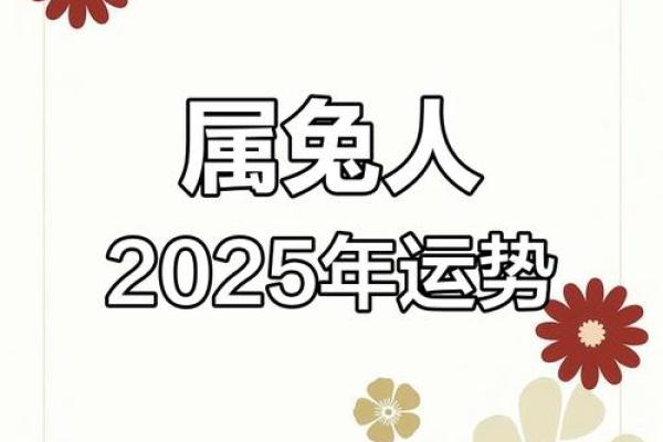 1987年属兔人2025年运势及运程_1987年属兔人2025年运势详解事业财运感情全解析