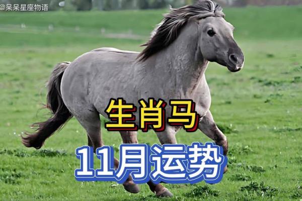 1966年属马今年的运势_1966年属马今年的运势怎么样 1966年属马今年的运势_1966年属马今年的运势怎么样