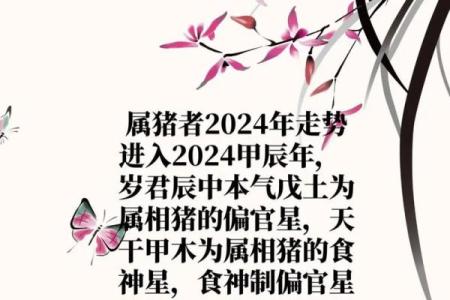 属猪人2024年全年运势及运程_2025年属猪人每月运势