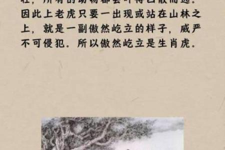 绝处逢生是什么生肖