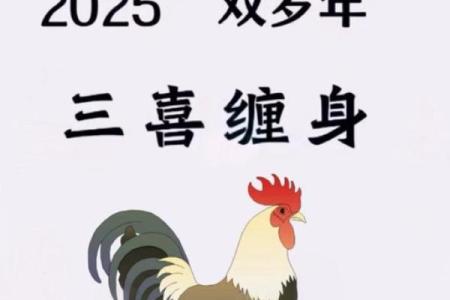 属鸡今年几岁2025_2025年属鸡人年龄查询今年几岁