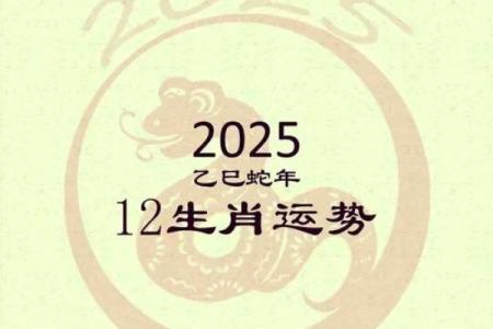 1969年属鸡女2025年运势如何_1985年属牛女2025年运势完整版