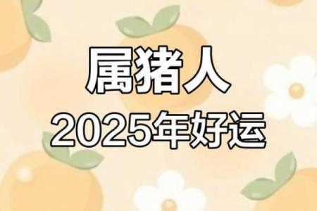 95年属猪人2025年全年运势及运程_95年属猪人2025年运势详解全年运程大揭秘