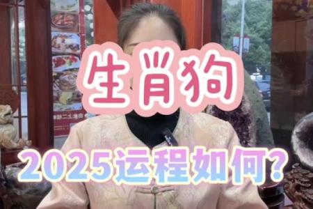 2025属狗的全年运势 2025年属狗1982年生全年运势如何
