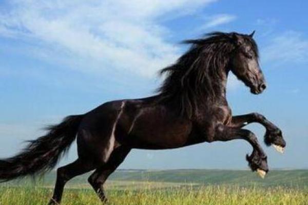 1978年属马今年多少岁_78年属马47岁2025劫难