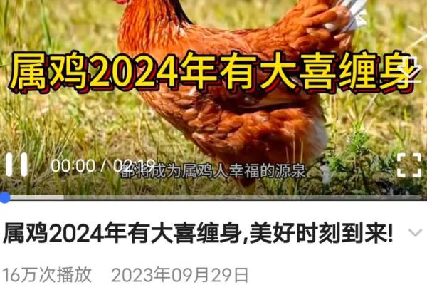 69年属鸡的人2025年运势难关 2025属鸡的大灾之年 69年属鸡的人2025年运势难关 2025属鸡的大灾之年