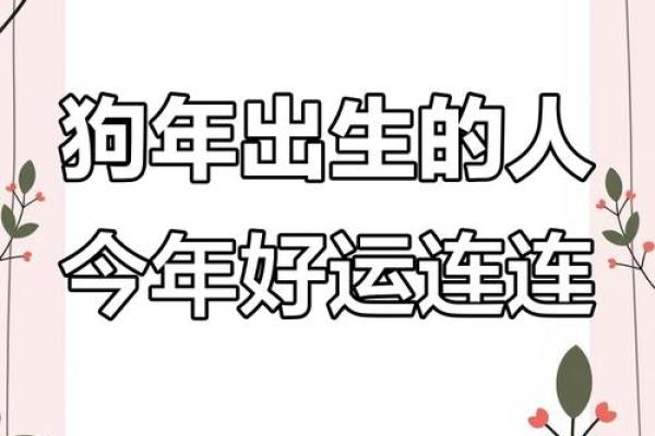 2025年属狗女1982全年运势_2025年属狗女1994年运势