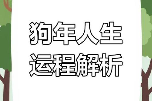 属狗女的命运怎么样_属狗的女生命运好不好