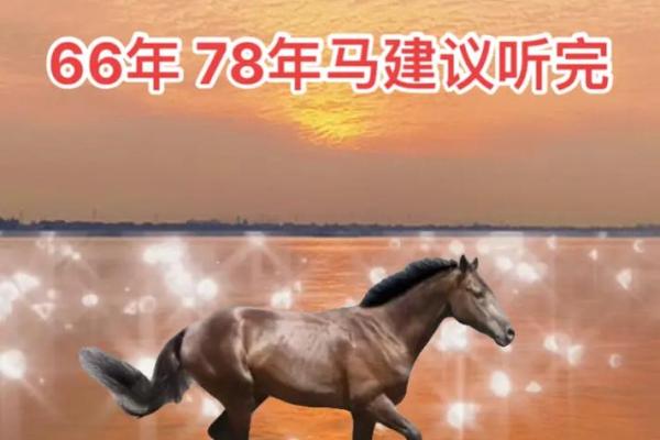 1966属马的2024虚岁多大 1966年属马人2024年虚岁多大年龄计算与运势解析