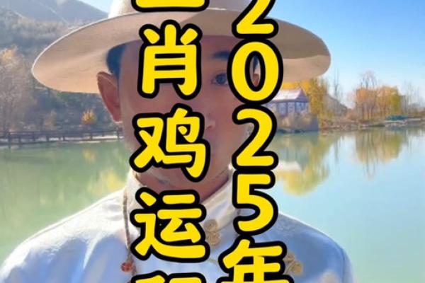 属鸡运势2025年运程 2025年属鸡运势详解全年运程大揭秘 属鸡运势2025年运程 2025年属鸡运势详解全年运程大揭秘