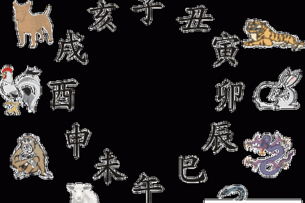 神机妙算打一正确生肖