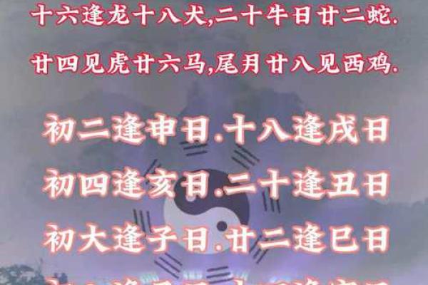 如日中天什么生肖