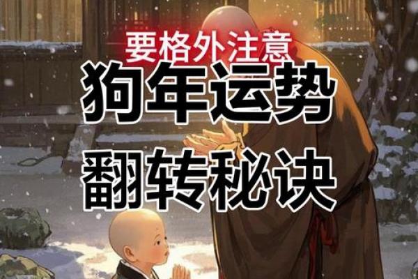 属狗女2025年全年的运势及运程 2025年属狗女1982全年运势