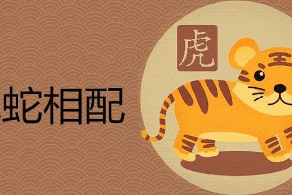 属猪男和属虎女婚姻配对解析适合做夫妻吗