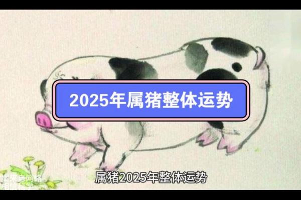 属猪人2025年运势及运程_属猪人2025年运势及运程的风水解释 属猪人2025年运势及运程_属猪人2025年运势及运程的风水解释