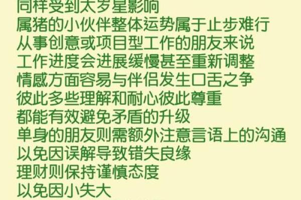 属猪2025年运势解析财运事业感情全攻略