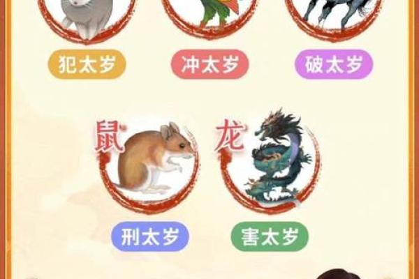 二八佳人是什么生肖 二八佳人是什么生肖