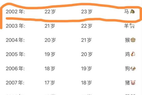 2002年属马佩戴什么运气最好_2002年属马戴什么保平安