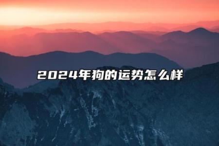 2025属狗今年多大年纪了 2025年属狗人今年多大年龄计算与运势解析
