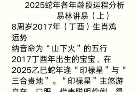 2025蛇年属鸡人全年运势解析机遇与挑战并存